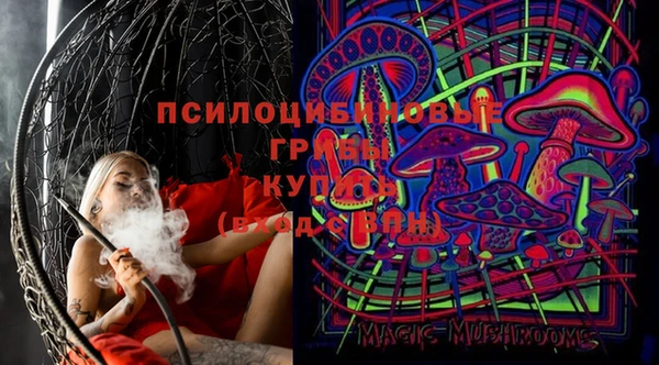 сатива Абаза