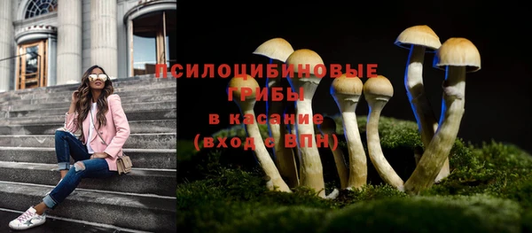 сатива Абаза