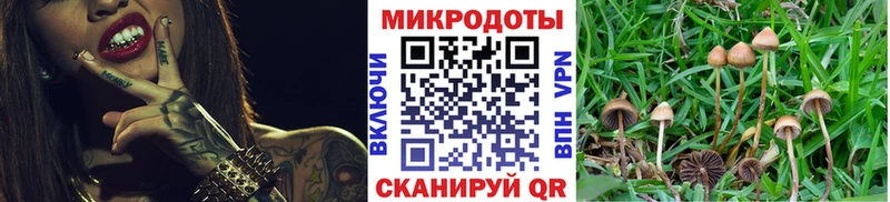 Псилоцибиновые грибы GOLDEN TEACHER  blacksprut ТОР  Спас-Клепики 